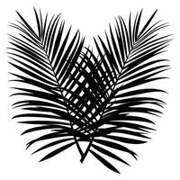 silhouette of tropical leaves on a white background vector