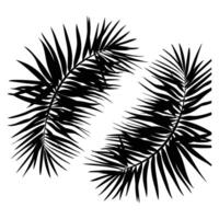 Black palm leaf collection Nature leaf collection. illustration. vector