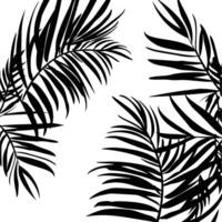 Collection of black palm leaves vector