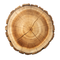 Close-Up of Tree Trunk Cross-Section With Growth Rings png