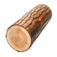 Freshly Cut Log With Bark on Isolated Transparent Background png