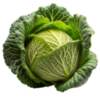 Vibrant Green Cabbage With Detailed Leaf Texture on Transparent Background png