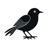 Cute bird black and white cartoon character design collection. White background, Animals. vector