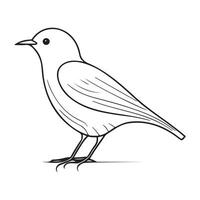 Cute bird black and white cartoon character design collection. White background, Animals. vector