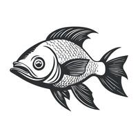 Fish illustration black and white cartoon character design collection. White background, Animals. vector