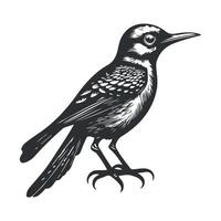 Cute bird black and white cartoon character design collection. White background, Animals. vector