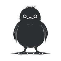 Cute bird black and white cartoon character design collection. White background, Animals. vector