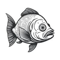 Fish illustration black and white collection. White background, Animals. vector