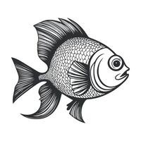 Fish illustration black and white collection. White background, Animals. vector