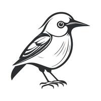 Cute bird black and white cartoon character design collection. White background, Animals. vector