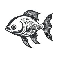 Fish illustration black and white cartoon character design collection. White background, Animals. vector