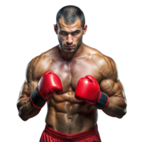 Male Boxer Posing in Boxing Gloves on Transparent Background png