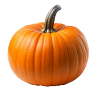 Pumpkin on Transparent Background png