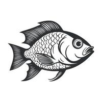 Fish illustration black and white cartoon character design collection. White background, Animals. vector