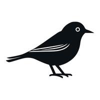 Cute bird black and white cartoon character design collection. White background, Animals. vector