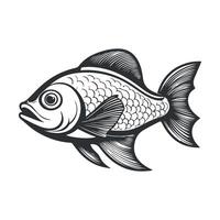 Fish illustration black and white cartoon character design collection. White background, Animals. vector