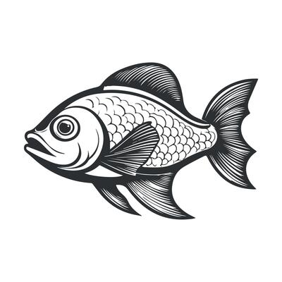 Fish illustration black and white cartoon character design collection. White background, Animals.