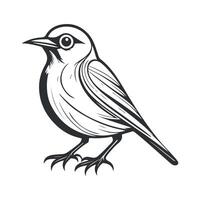 Cute bird black and white cartoon character design collection. White background, Animals. vector