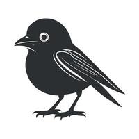 Cute bird black and white cartoon character design collection. White background, Animals. vector