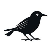 linda pájaro negro y blanco dibujos animados personaje diseño recopilación. blanco fondo, animales vector