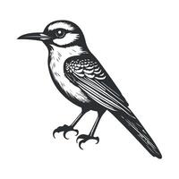 Cute bird black and white cartoon character design collection. White background, Animals. vector