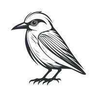 Cute bird black and white cartoon character design collection. White background, Animals. vector