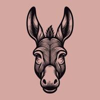A charming illustration of a donkey vector