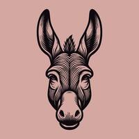 A charming illustration of a donkey vector