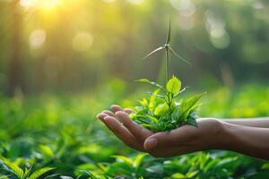 Human hand cradling a young plant sprout with a miniature wind turbine. Green technology and Eco power photo