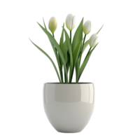 3d tulip in pot on transparent background AI-Generated png