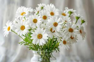 Simple yet elegant white daisies in vase photo