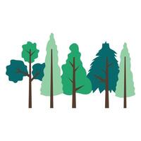 ilustración de árbol forestal vector