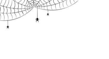 scary spider web isolated on white background vector