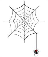 scary spider and web vector