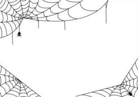 scary spider and cobweb isolated on white background vector