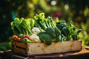 Assorted fresh vegetables in a crate photo