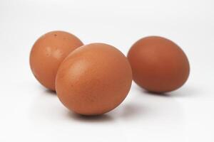 algunos pollo huevos son en un blanco antecedentes foto