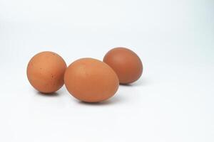 Some chicken eggs are on a white background photo