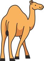 Cute camel illustration vector