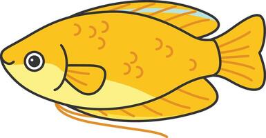 Golden honey gourami fish illustration vector