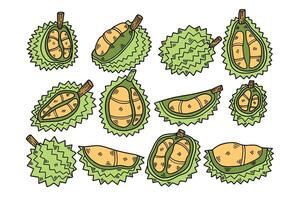 hand drawn delicious durian illustration in line style vector