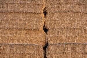 stack of yellow hay straw bales background alfalfa horizontal photo