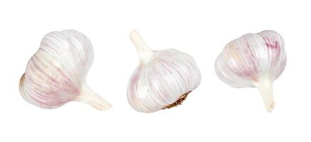 group of garlic bulb isolated on white background photo