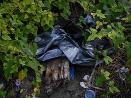 residuos ese lata dañar el ambiente es a menudo encontró en urbano areas con pobre residuos administración foto