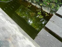 imagen de un agua estanque con loto plantas encima él. el piscina tiene un hermosa ver con oscuridad de objetos y plantas en el agua foto