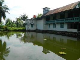 Image of a water pond with lotus plants above it. The pool has a beautiful view with shadows of objects and plants on the water photo