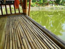 Image of a water pond with lotus plants above it. The pool has a beautiful view with shadows of objects and plants on the water photo