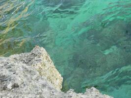 paisaje foto con un antecedentes de mar agua y coral en el tarde