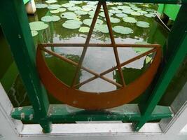 Image of a water pond with lotus plants above it. The pool has a beautiful view with shadows of objects and plants on the water photo