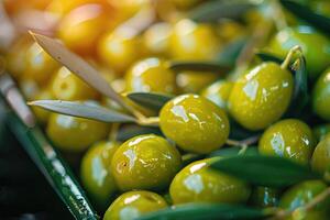 Closeup of green olives in sunny day. photo